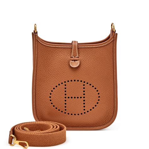 hermes evelyne tpm mini|hermes evelyne retail price.